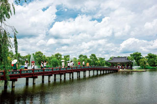 우리나라에서 가장 오래된 인공 연못인 부여 궁남지의 여름날 풍경(아래).