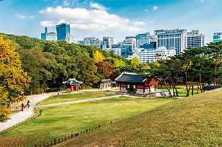 서울 강남의 빌딩 숲에 둘러싸인 선릉·정릉 능역.