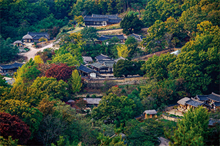 양동마을이 한눈에 들어오는 성주산에서 바라본 서백당 전경.