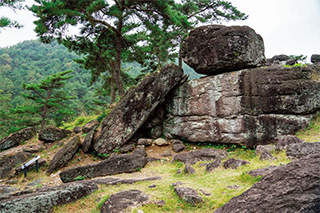 화순 고인돌 유적 중 하나인 감태바위. 잘라낸 덮개돌이 갓처럼 놓여 있다.