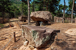 고창읍 죽림리 일대의 고인돌 유적에는 우리나라에 분포하는 모든 종류의 고인돌이 다 있다.
